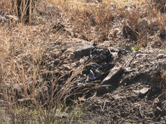 Mujer calcinada en Chihuahua