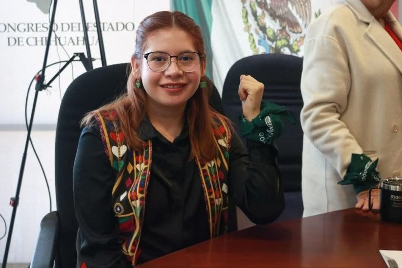 DIp. Jael Argüelles Díaz
