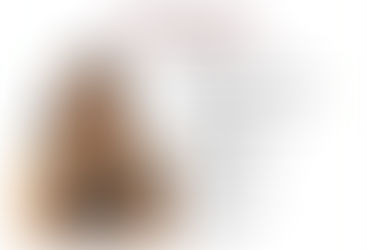 Jessica Paola Sotelo Nevárez