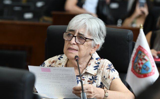 diputada Herminia Gómez Carrasco