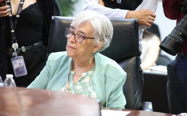 Diputada Herminia Gómez