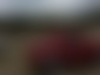 Cuauhtémoc, Madera y Guerrero presentan descenso de temperaturas, lluvias y fuertes vientos: Protección Civil