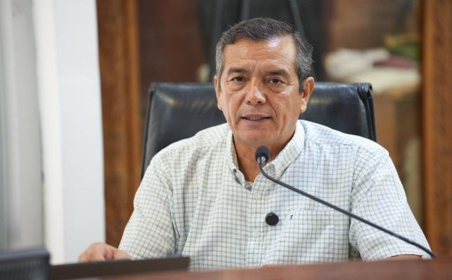 Diputado Pedro Torres