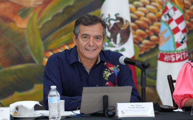 Diputado Pedro Torres