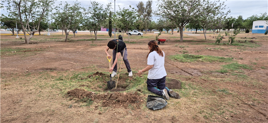 Buen ejemplo! Reforestan alumnos del COBACH la Huerta Legarreta