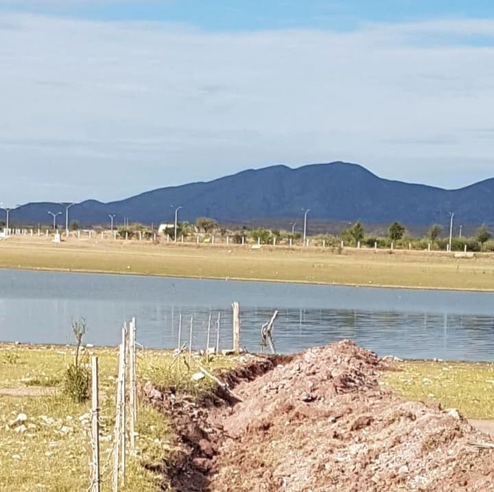 Denuncian pescadores de Chihuahua que están privatizando áreas de la Presa Chihuahua; cavaron zanjas y colocaron a alambre de púas