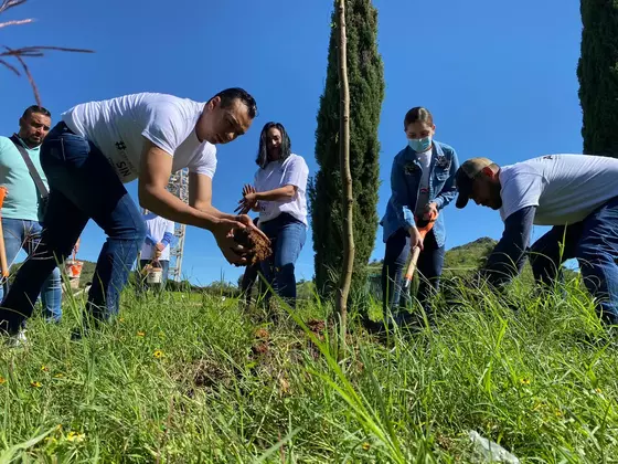 Reforestan zonas emblemáticas de Parral