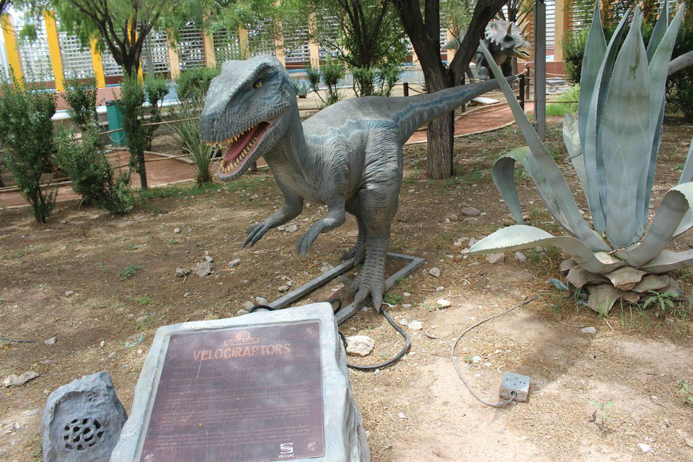 Museo La Rodadora: espacio de esparcimiento para chicos y grandes en Ciudad Juárez