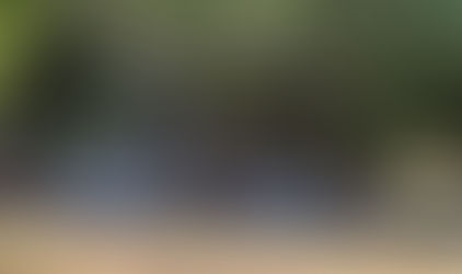 Balneario Los álamos, Aldama