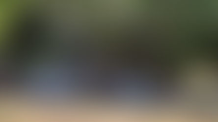 Balneario Los álamos, Aldama