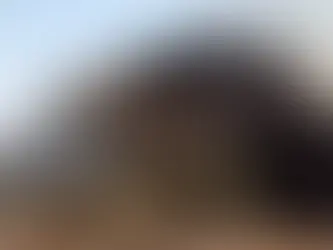 Ejército venezolano destruye avión ‘invasor' del narco proveniente de México