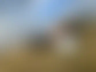 Avioneta cae en Purépero, Michoacán; hay cinco heridos