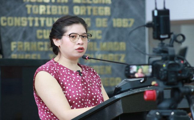 Diputada Jael Argüelles