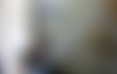 ¡Aprovecha! Con solo 200 pesos puedes esterilizar a tu mascota