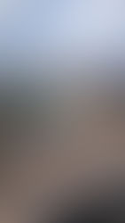 ¡Chihuahua se llena de basureros clandestinos y acumuladores ! Reportan "montonales" de basura en Colonia Sierra Azul