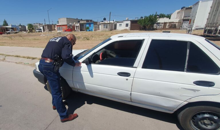 Disminuye el robo de vehículo con y sin violencia: autoridades