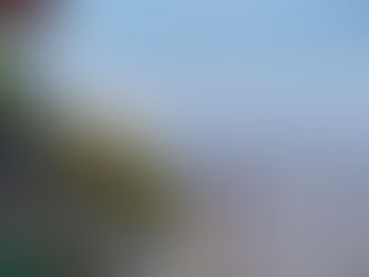 Parque Barrancas destino ideal para visitar  en vacaciones