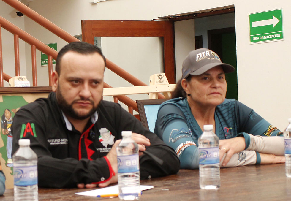 Diputado Arturo Medina