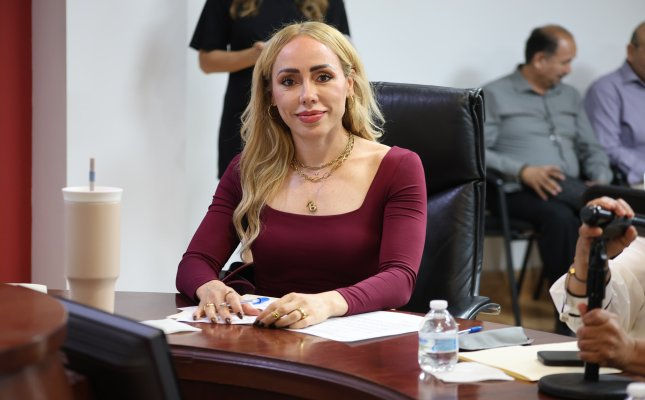 Diputada Brenda Ríos