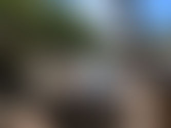 Camioneta de SEMEFO, chihuahua