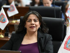 Diputada Magdalena Rentería