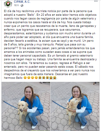 Denuncian por redes negligencia en una veterinaria