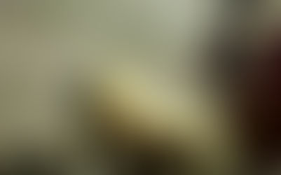 Sujeto asesina a palos aun perro en calles del Fraccionamiento Gloria y es detenido