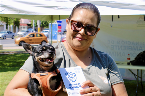 Entérate de la historia de¨Micro¨ un perrito chihuahua que goza de salud gracias a las brigadas de vacunación