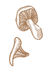 SUPPORTS-PÀP-IMP-23.png
