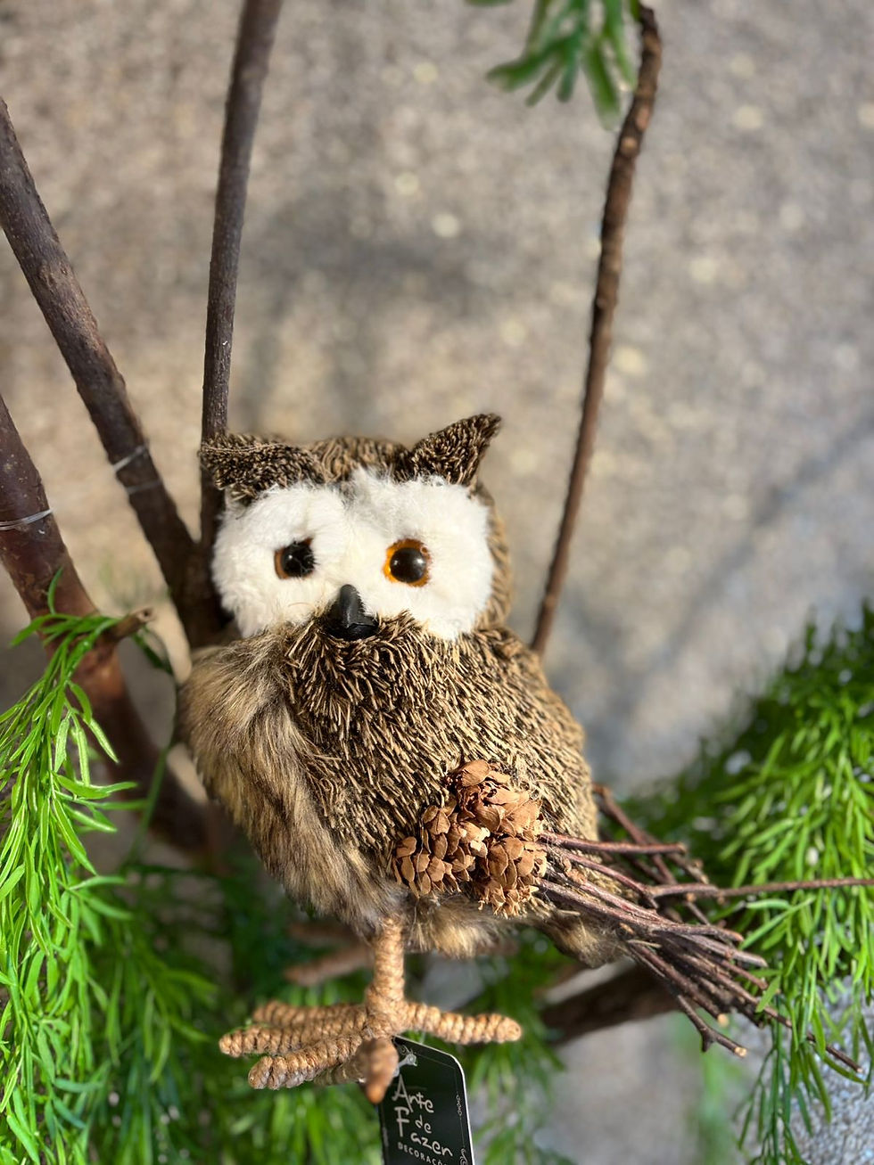 Miniatura: CORUJA NATURAL