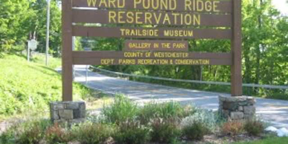 Camping Trip - Ward Pound Ridge