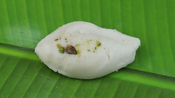 Shankh Sandesh