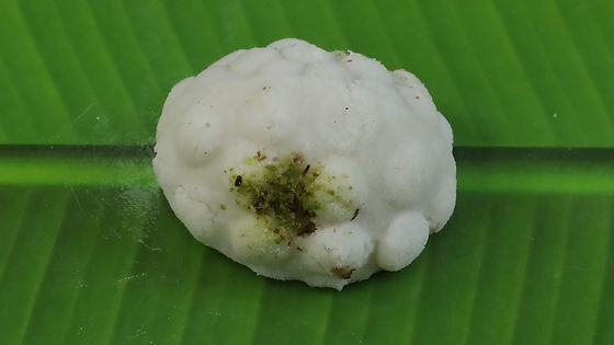 Karapaker Ata
