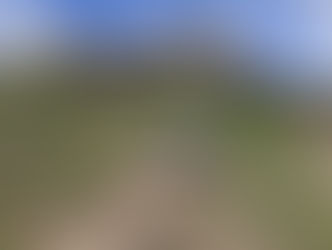 להאמין בעצמנו, שווה או לא?