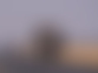 "הפיל שלי ואני" בשבוע של השראה ושל עשייה מקדמת שליחות