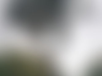 סיפור קצר על עץ עתיק שלימד אותי שיעור לחיים