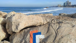 חזון המשקיף לים התיכון