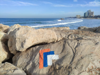 חזון המשקיף לים התיכון