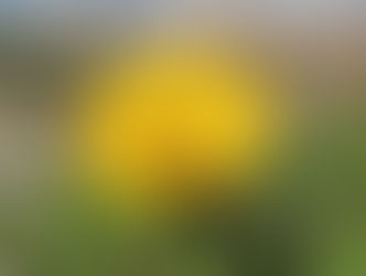 "תגיד אפשר לצעוק אתך"?