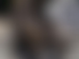 מתוך בדידות אתה מבין שידידות עם עצמך היא דבר נפלא (רמי פורטיס)