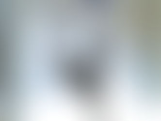 על הורים ילדים ופרפרים בבטן