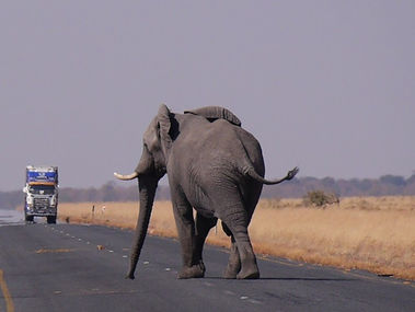 "אֲשֶׁר־ר֣וּחַ בּ֑וֹ וְסָמַכְתָּ֥ אֶת־יָדְךָ֖ עָלָֽיו"