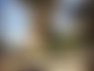 כולנו זקוקים לחסד, כולנו זקוקים למגע