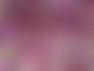 מוגבלות, אצל מי היא באמת נמצאת?