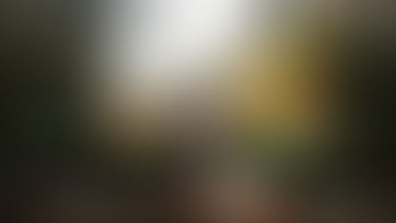 #מוצאים_כל_יום_מרפסת_חדשה