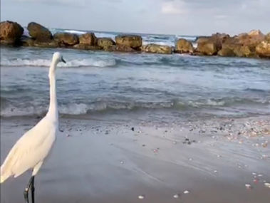 #רגע_לפני_ההידוק