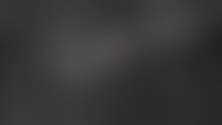 🌹 על מרקו, קופיפו, התמדה ועל הקשר שבניהם🌹