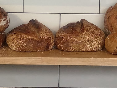 סבא אלכסנדר הנחתום