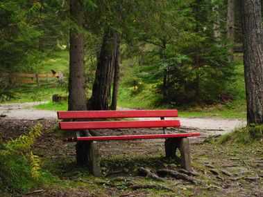 הסליחה שלא נאמרה לעולם