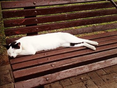 על דאגה, השפעה ומה שבניהן